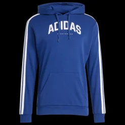 Outlet C College Hood - Herren Sweatshirt Herren Langarmshirts Und Sweatshirts