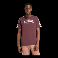 Outlet C College Tee - Herren T-Shirt Herren T-shirts